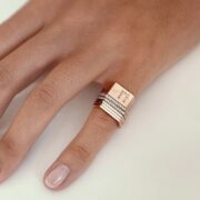 vanrycke-paris-rose-signet