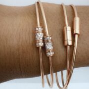 2025.02.04-cat-jonc-lfdlv-p-carre_19e2c035-b7ca-41ed-ae08-5aff20711763