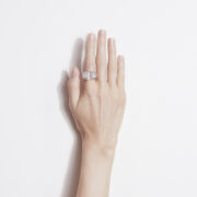 FSJ434_Statement_Cabine1386